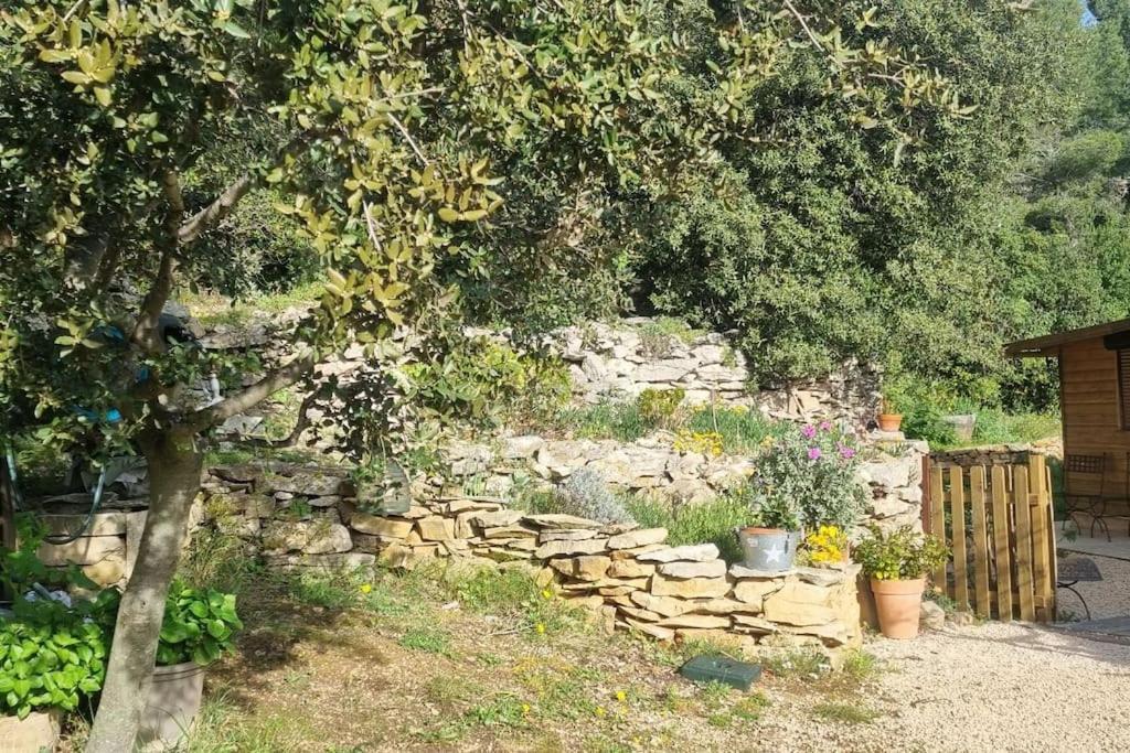 Maisonnette Chez L'Habitant 拉西约塔 外观 照片